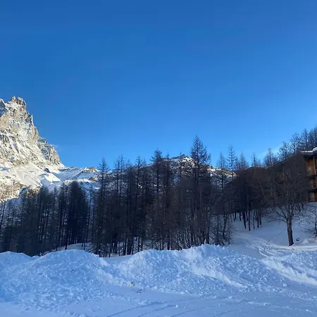 Daire Grandes Mourailles In & Out *