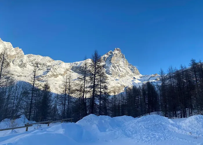 Daire Grandes Mourailles In & Out